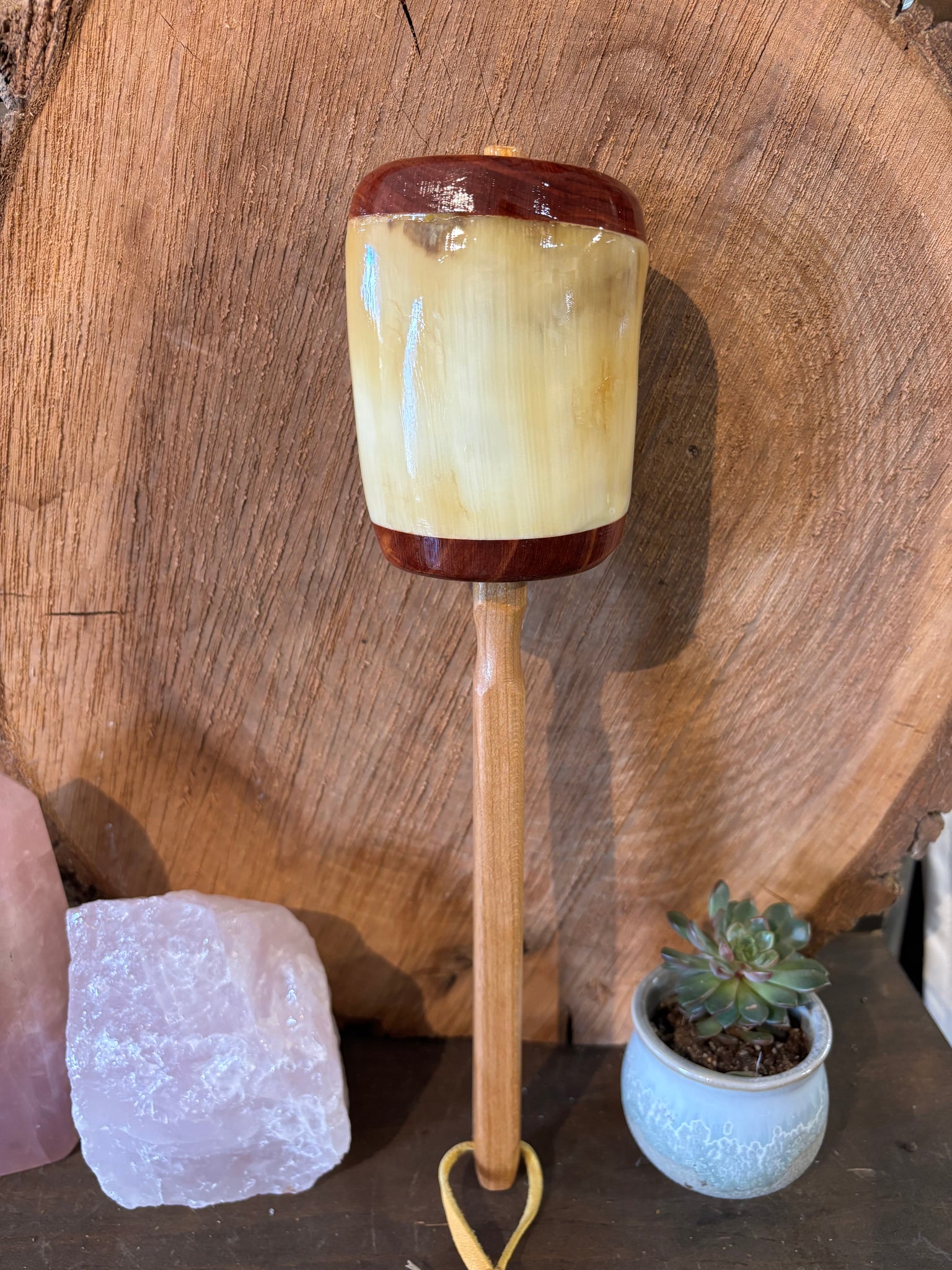 Steer Horn Rattle - Large