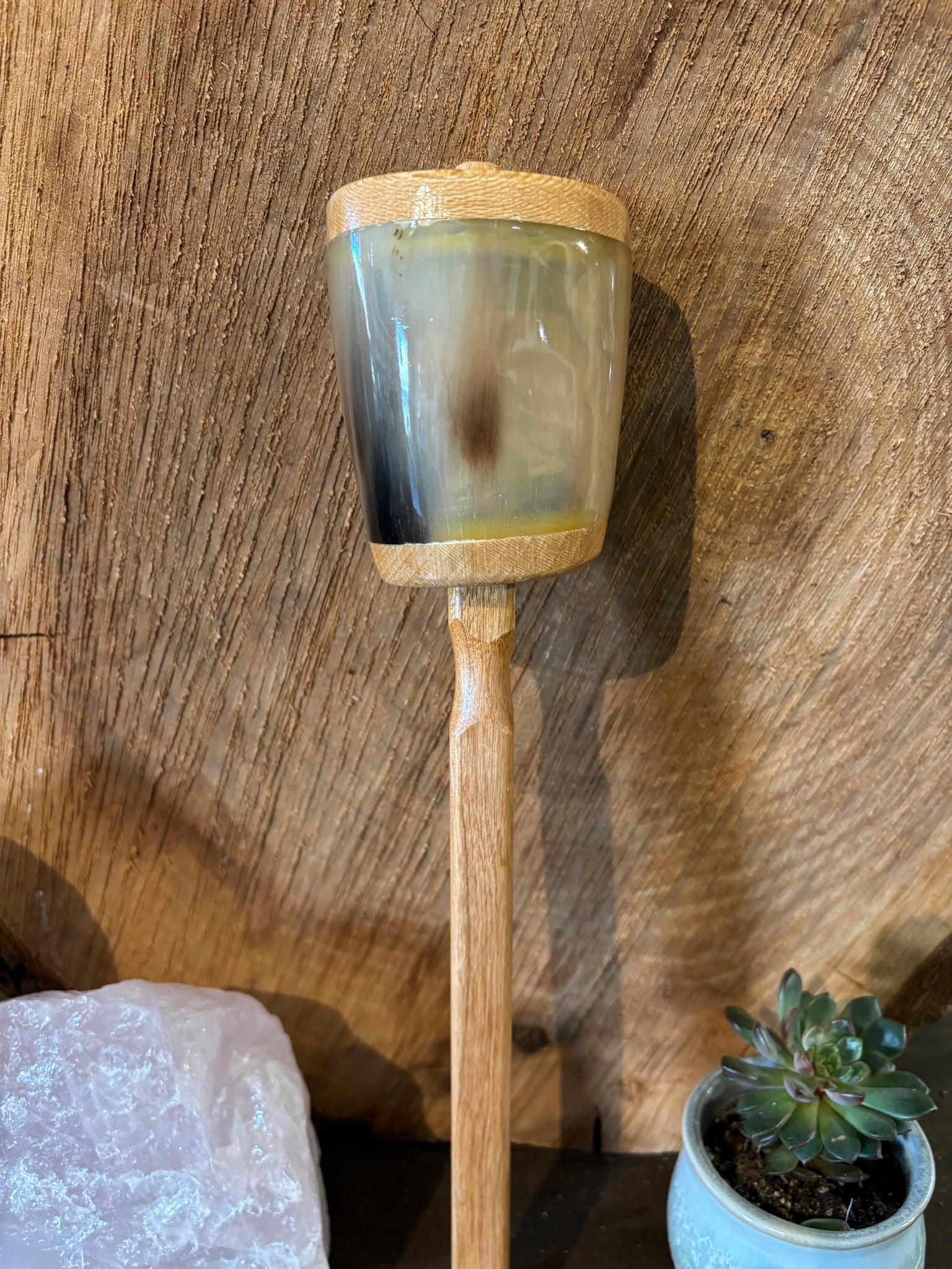 Steer Horn Rattle - Medium